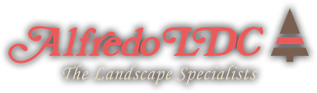 Alfredo LDC