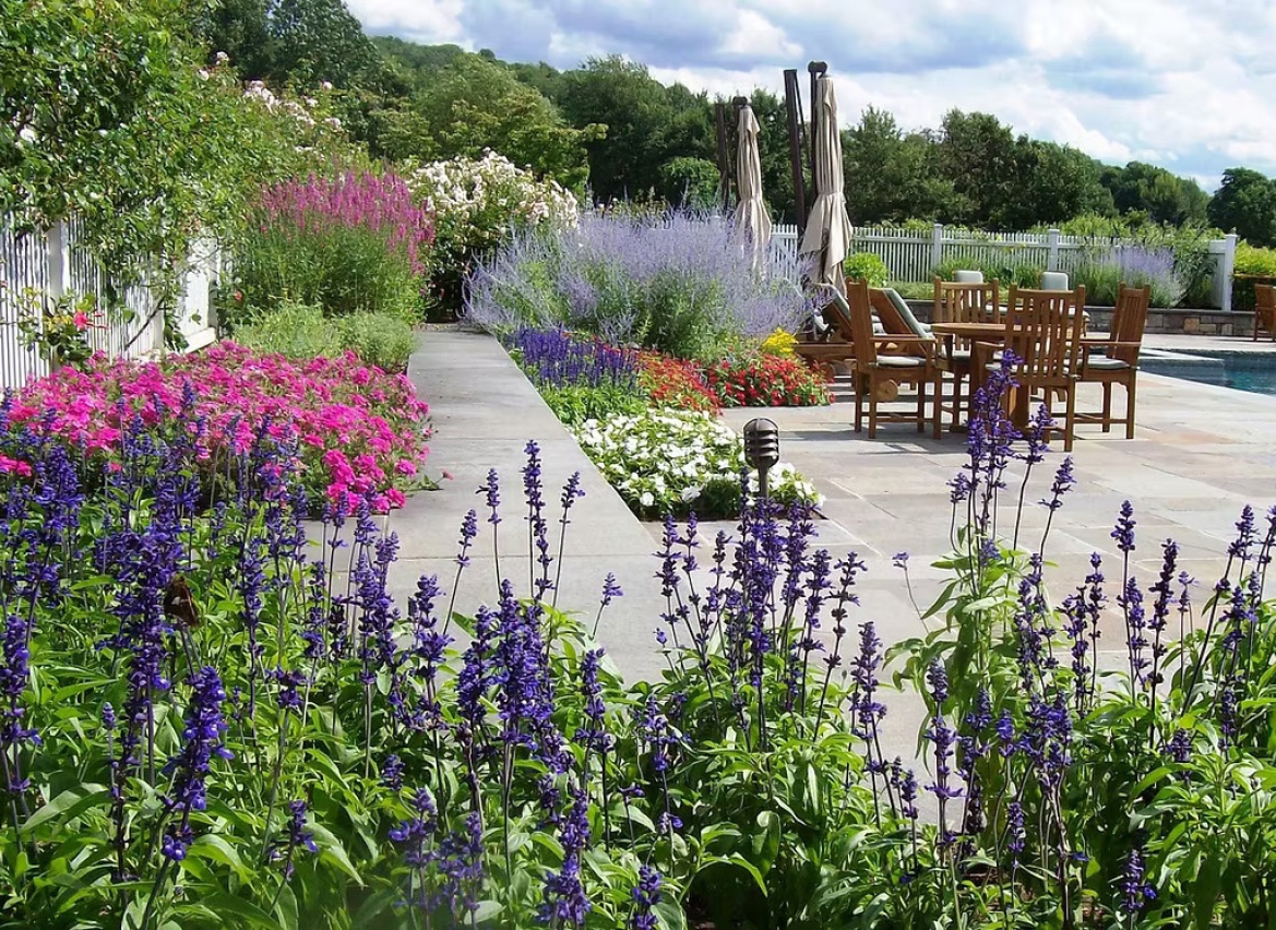 Perennial & Garden Care