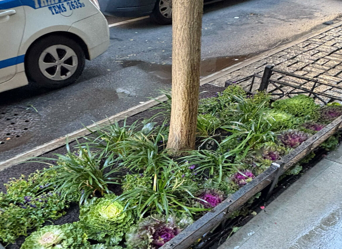 NYC Hardscapes