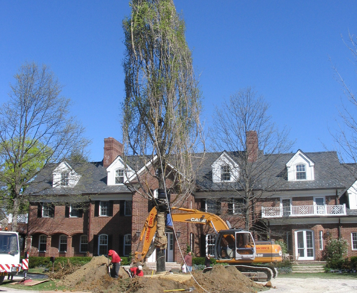 Landscape Construction panel 2 pic