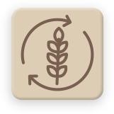 Dead heading, pruning, and seasonal grooming