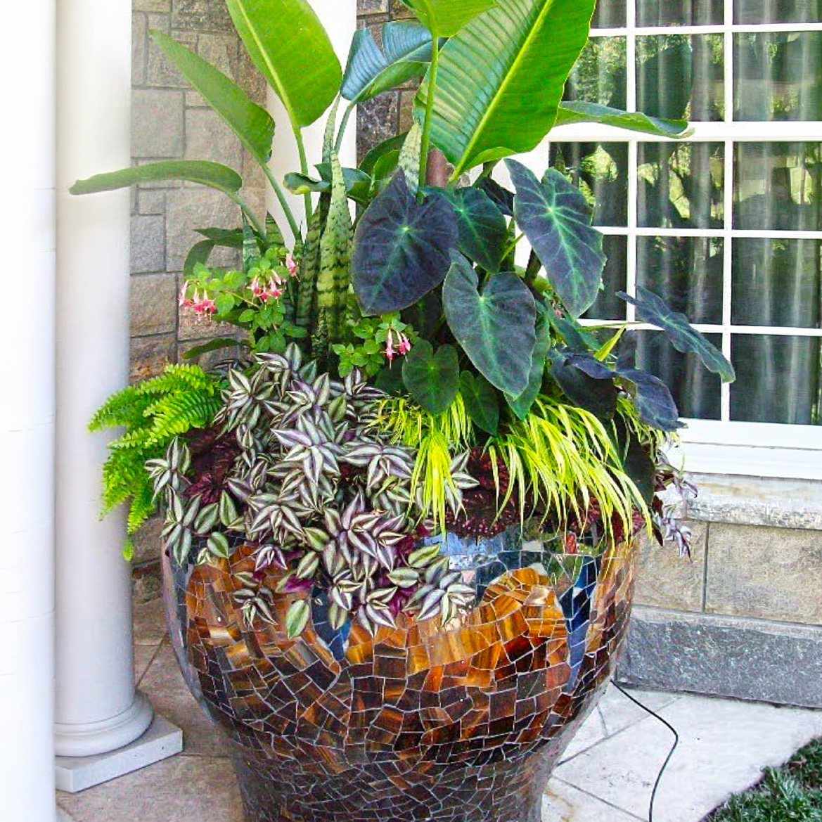 Seasonal Containers