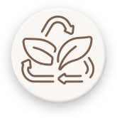 Circulation, grading, and environmental considerations